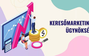 Online marketing strat&eacute;gia &eacute;s Wordpress szak&eacute;rtő v&aacute;laszt&aacute;s